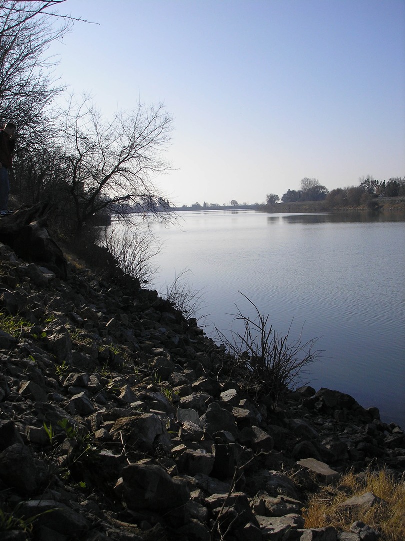 Sacramento River Levee